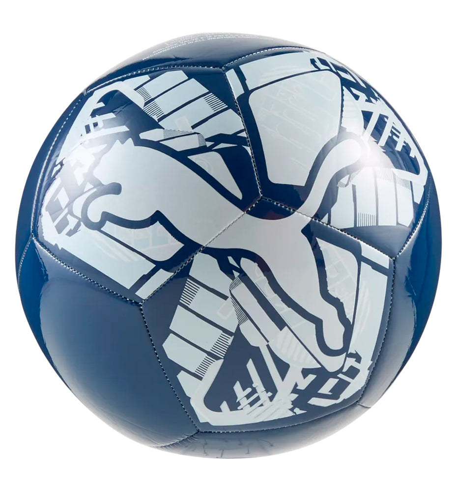 Balones Futbol Puma Big Cat Ball