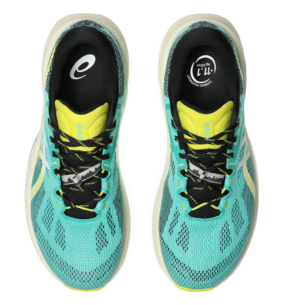 Zapatillas Trail Asics Trabuco 14 M