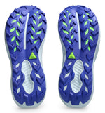 Zapatillas Trail Asics Trabuco 14