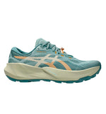 Zapatillas Trail Asics Trabuco 14