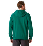 Hoodie Sudadera Capucha Casual Helly Hansen Hh Logo Hoodie 2.0