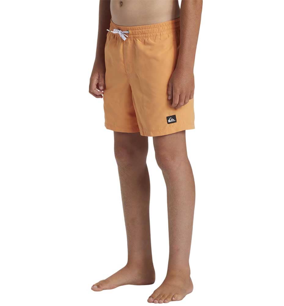 Bañador Baño_Niño_QUIKSILVER Everyday Solid Volley Yth 14