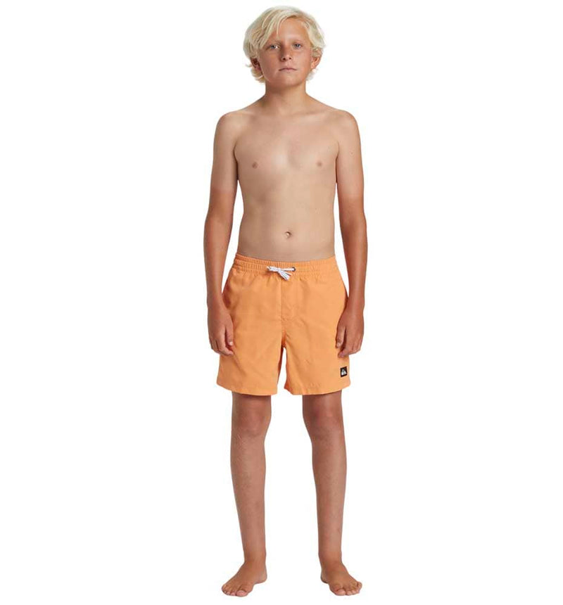 Quiksilver Everyday Solid Volley Swimsuit Year 14