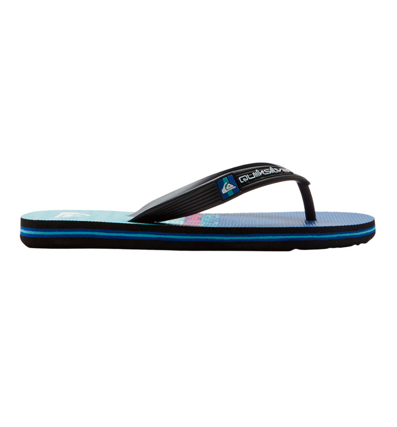 Chanclas Baño Quiksilver Molokai Art Ii Youth