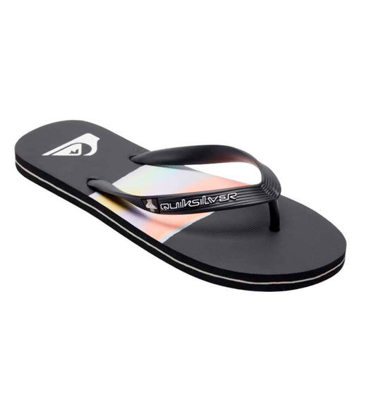 Flip Flops Bathroom_Men_QUIKSILVER Molokai Airbrushed