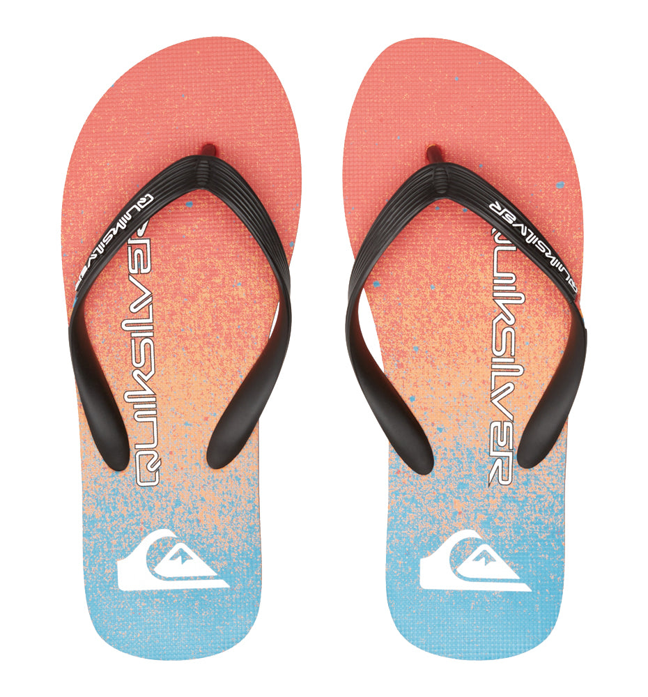 Flip Flops Bathroom_Men_QUIKSILVER Molokai Art Ii