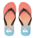 Quiksilver Molokai Art Ii Bathroom Flip Flops