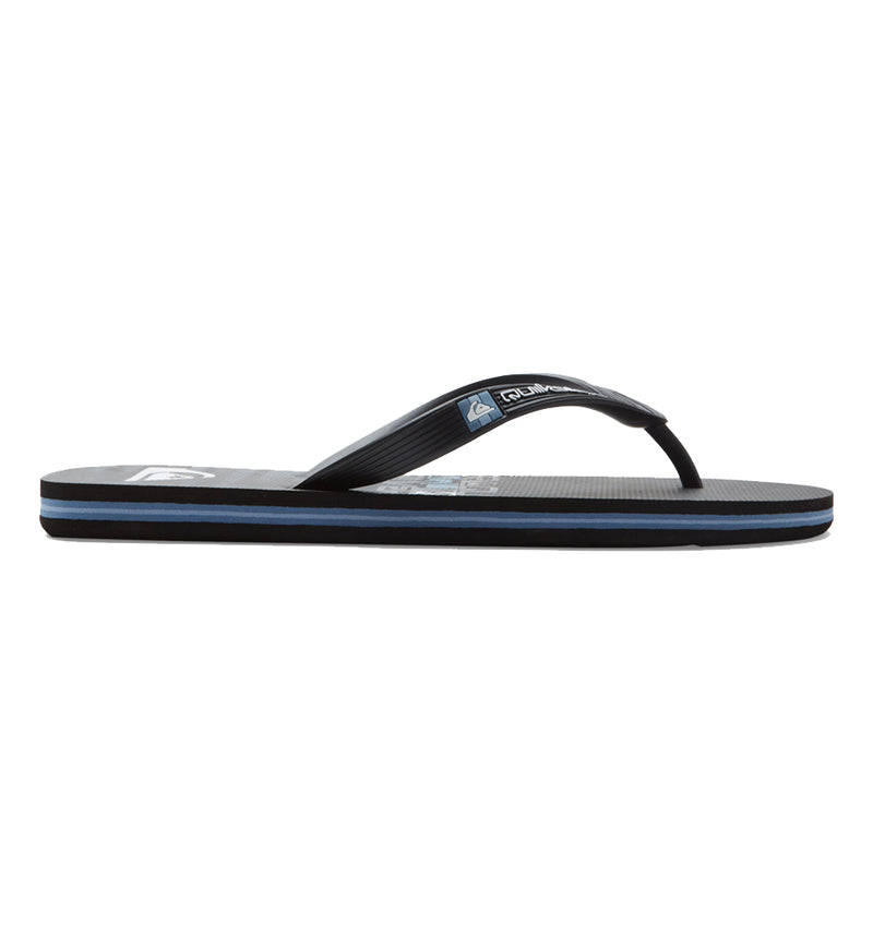 Quiksilver Molokai Stripe Bathroom Flip Flops