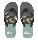 Chanclas Baño Quiksilver Molokai Stripe