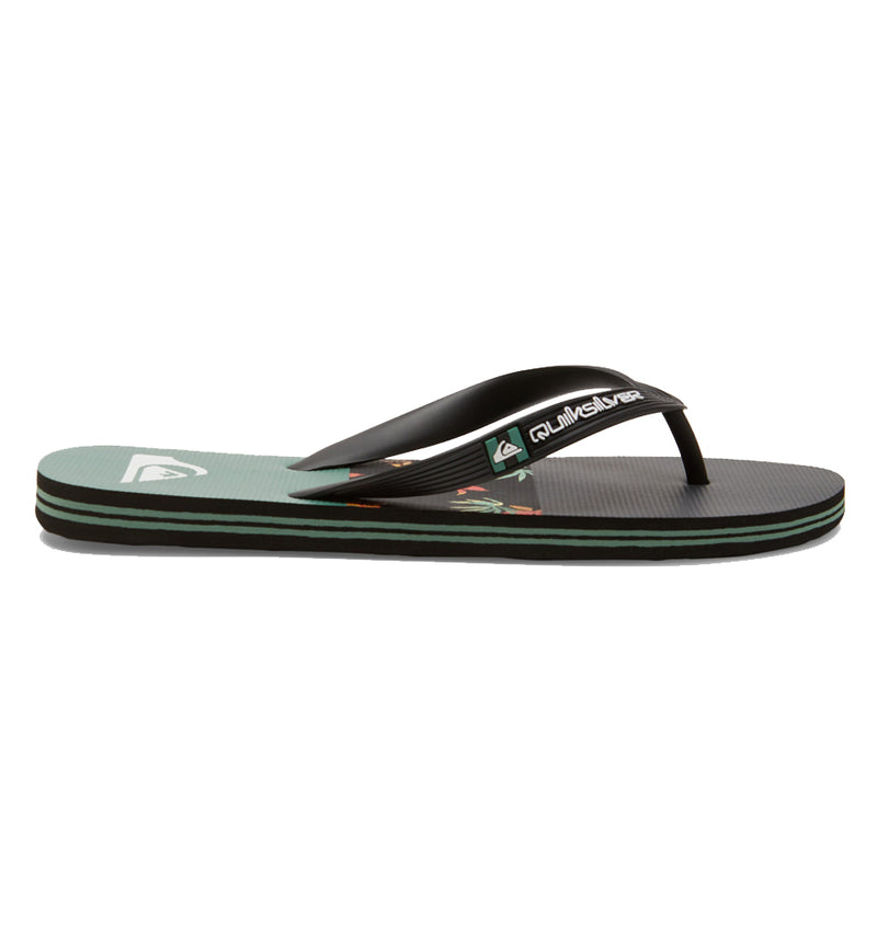 Chanclas Baño Quiksilver Molokai Stripe