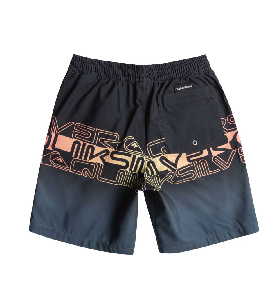 Swimsuit Baño_Niño_QUIKSILVER Everyday Wordblock Vl Yth 16
