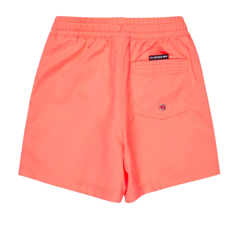 Bañador Baño_Niño_QUIKSILVER Everyday Deluxe Volley Yth 14