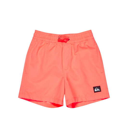 Bañador Baño_Niño_QUIKSILVER Everyday Deluxe Volley Yth 14