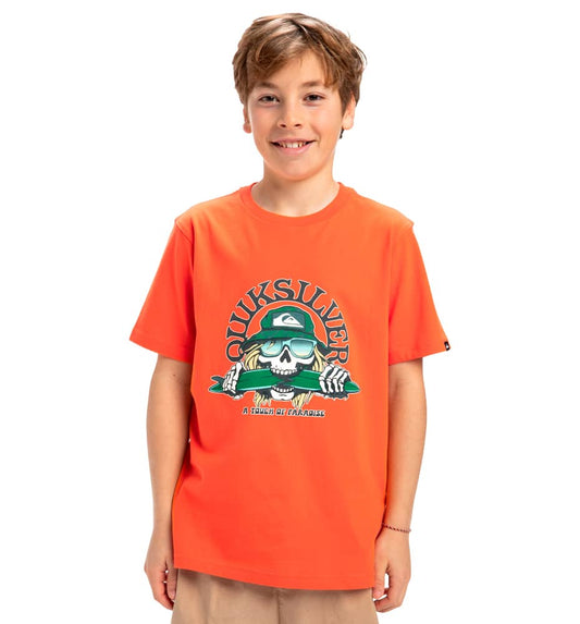 T-shirt M/c Casual_Child_QUIKSILVER Ev Skull Feast Ss Yth