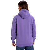 Hoodie Sudadera Capucha Casual Quiksilver Screen Fleece Fineline Hoodie