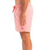 Bañador Quiksilver Everyday Deluxe Volley 15