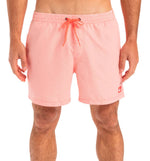 Bañador Quiksilver Everyday Deluxe Volley 15
