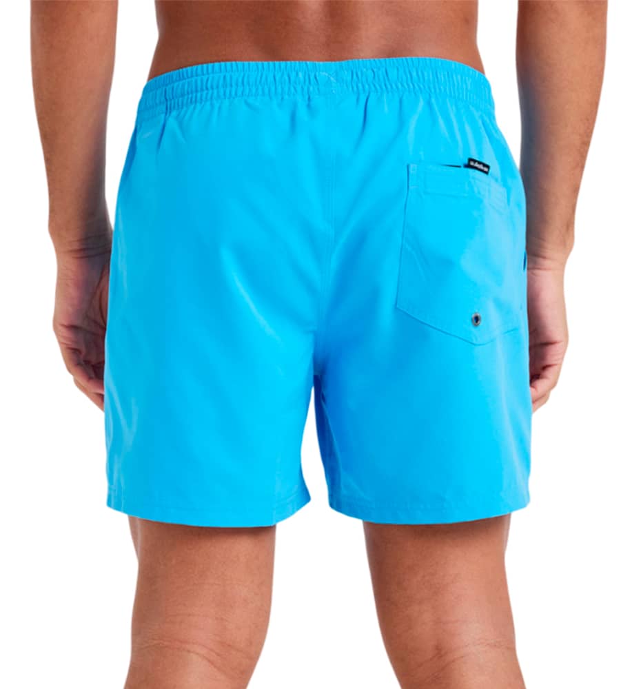Swimsuit Men's Swimsuit QUIKSILVER Everyday Solid Volley 15