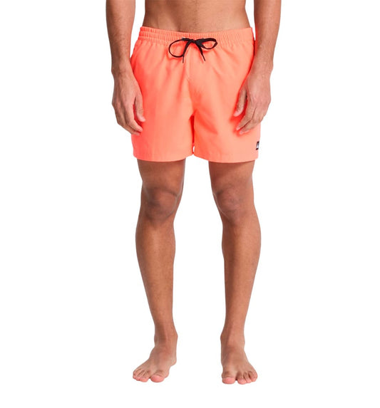 Bañador Baño_Hombre_QUIKSILVER Everyday Solid Volley 15