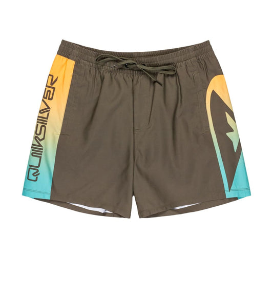 Bañador Baño_Hombre_QUIKSILVER Everyday Holmes Volley 16