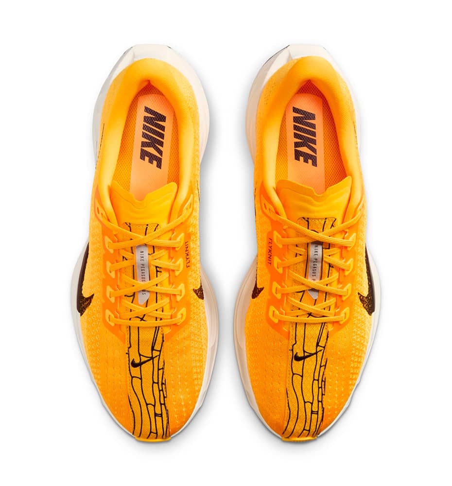 Running Shoes_Men_NIKE Pegasus Plus M