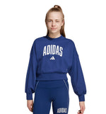 Sudadera Casual Adidas Jg Clgt Ft Swt