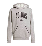 Hoodie Sudadera Capucha Casual Adidas J Clgt Oh Fl Hd