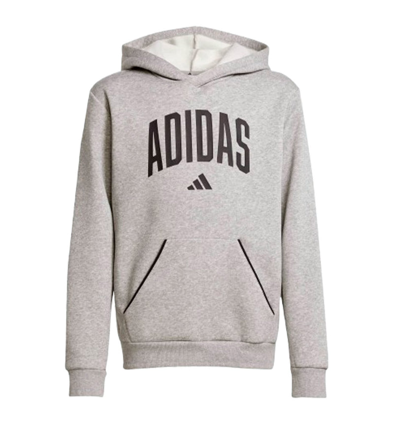 Hoodie Sudadera Capucha Casual Adidas J Clgt Oh Fl Hd