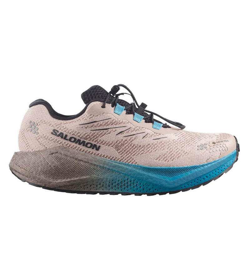Zapatillas Running Salomon Aero Blaze 4 Grvl Gtx