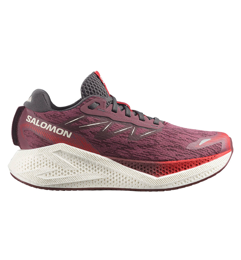 Zapatillas Running Salomon Aero Glide 4