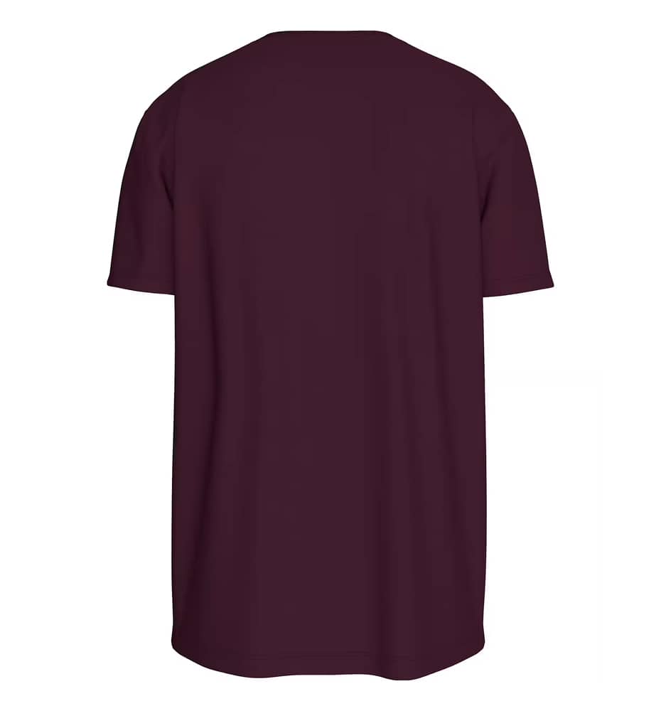 Casual_Men's T-shirt_CALVIN KLEIN Gift Giving 20s Easy Tee