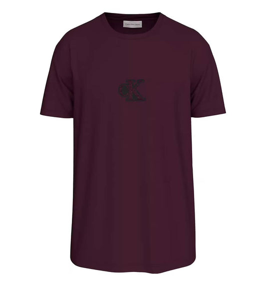 Camiseta Casual_Hombre_CALVIN KLEIN Gift Giving 20s Easy Tee