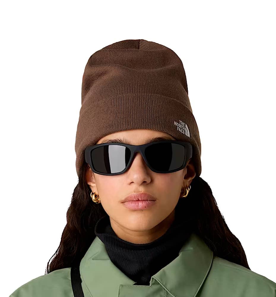 Gorros Casual_Unisex_THE NORTH FACE Norm Beanie