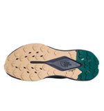 Zapatillas Trail The North Face Altamesa 500 V2