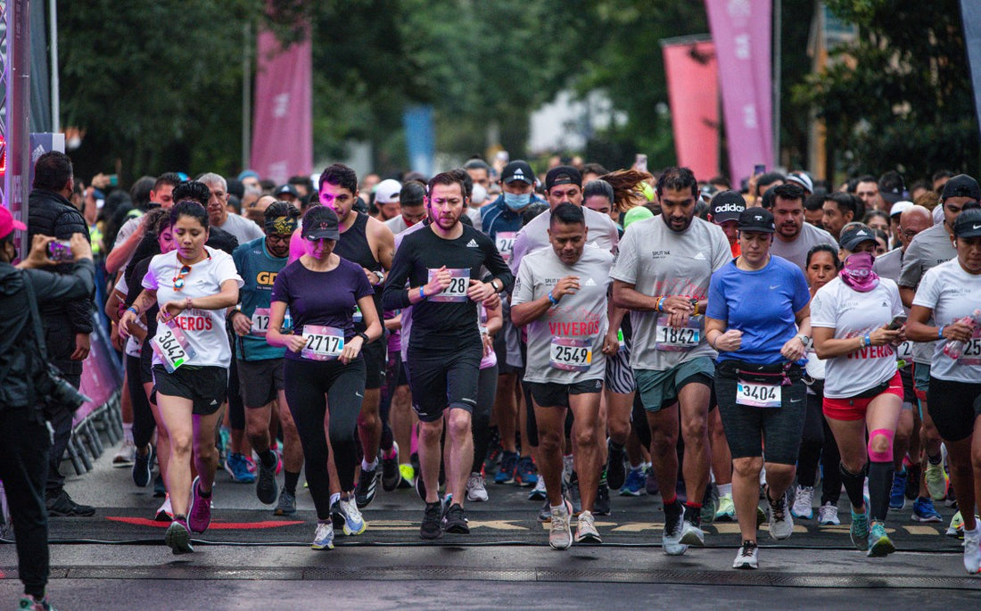 Cómo preparar la Maratón de Valencia
