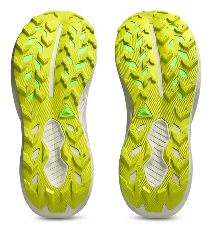 Zapatillas Trail Asics Trabuco 14 M