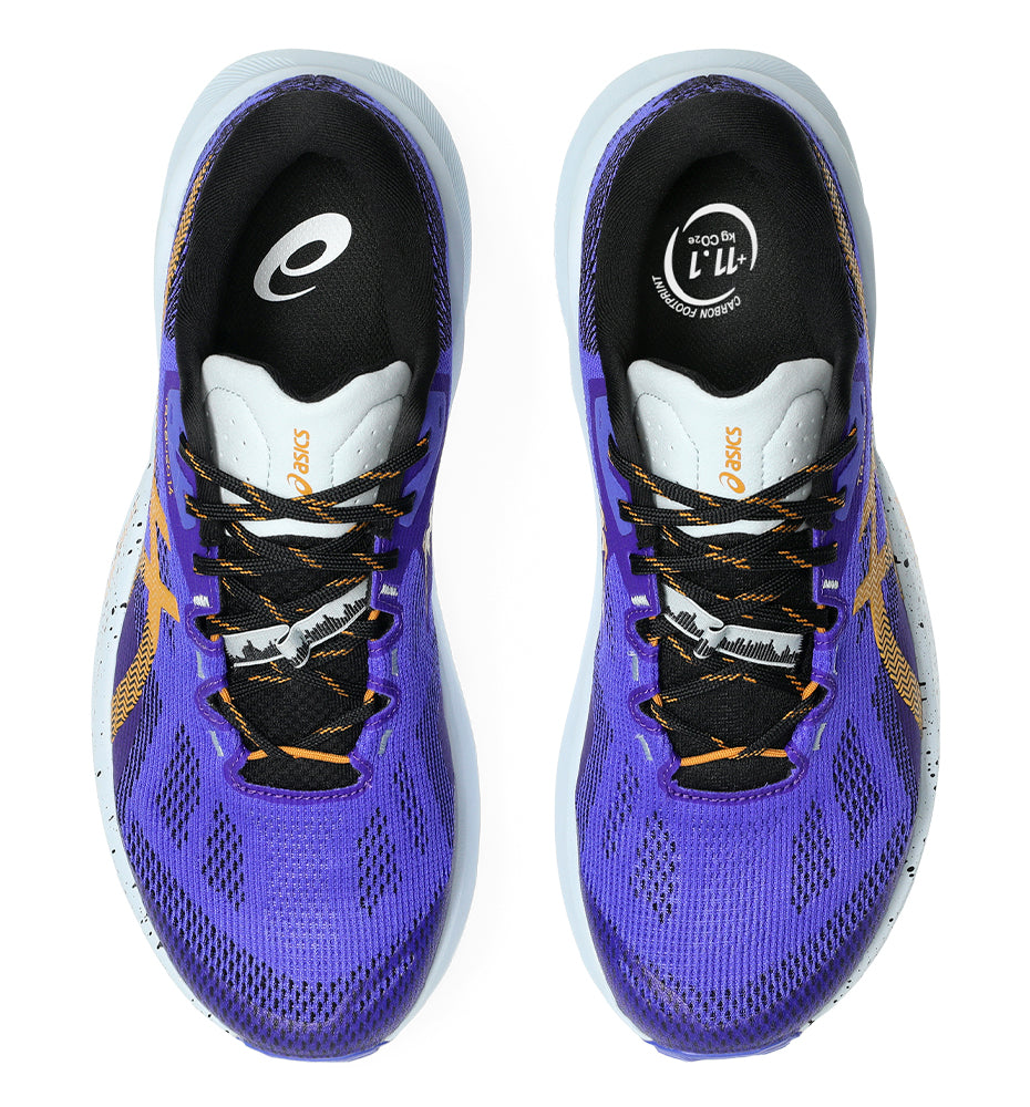 Zapatillas Trail Asics Trabuco 14 M