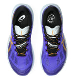 Zapatillas Trail Asics Trabuco 14