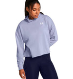 Hoodie Sudadera Capucha Fitness Under Armour Ua Rival Terry Os Hoodie