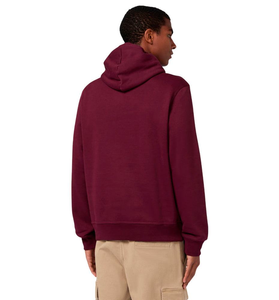 Hoodie Sweatshirt Hooded Casual_Men_CHAMPION Hooded Sweatshirt