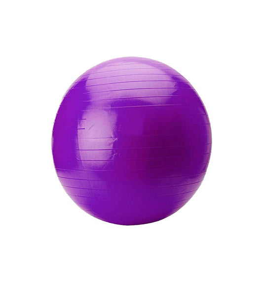 Pelota Gigante Fitness _Unisex_ Jim Sports Softee PVC 65 cm