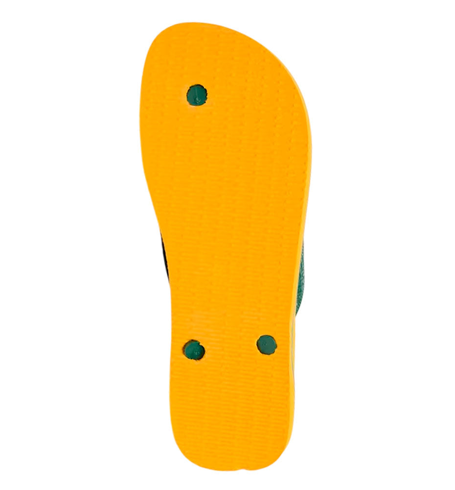 Chanclas Baño Havaianas Hav. Brasil Logo