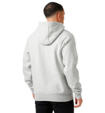 Hoodie Sweatshirt Casual Hood Helly Hansen Elevate Hoodie