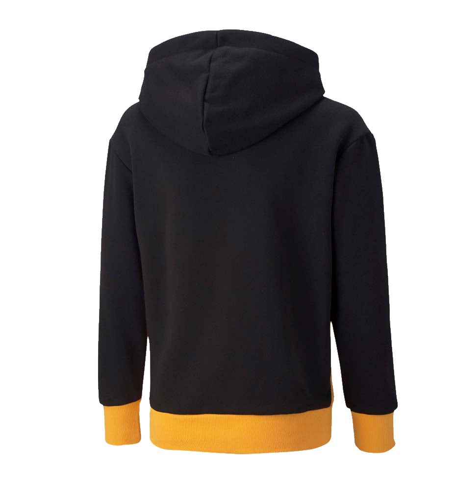 Hoodie Sudadera Capucha Casual_Niño_PUMA Alpha Hoodie Fl B