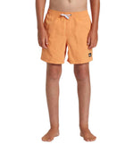 Quiksilver Everyday Solid Volley Swimsuit Year 14