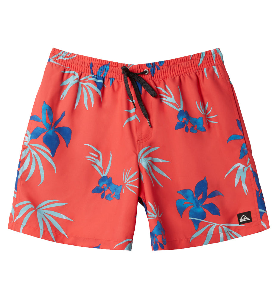 Swimsuit Men_QUIKSILVER Everyday Mix Volley 15