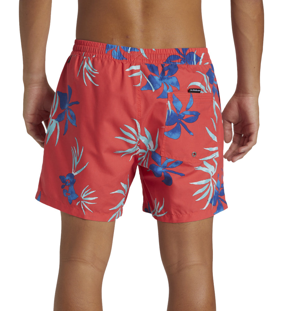 Swimsuit Men_QUIKSILVER Everyday Mix Volley 15