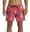 Swimsuit Men_QUIKSILVER Everyday Mix Volley 15