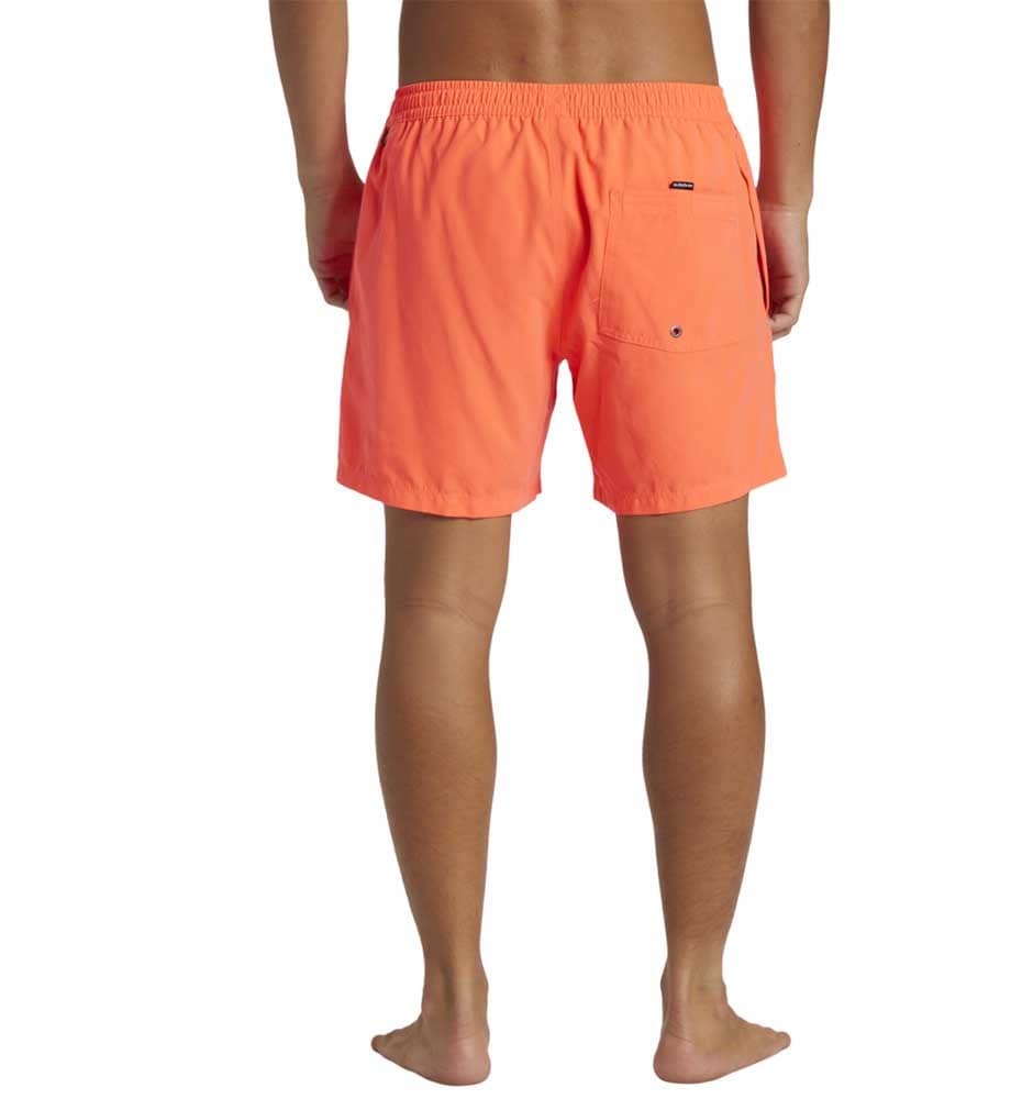 Swimsuit Men's Swimsuit QUIKSILVER Everyday Solid Volley 15