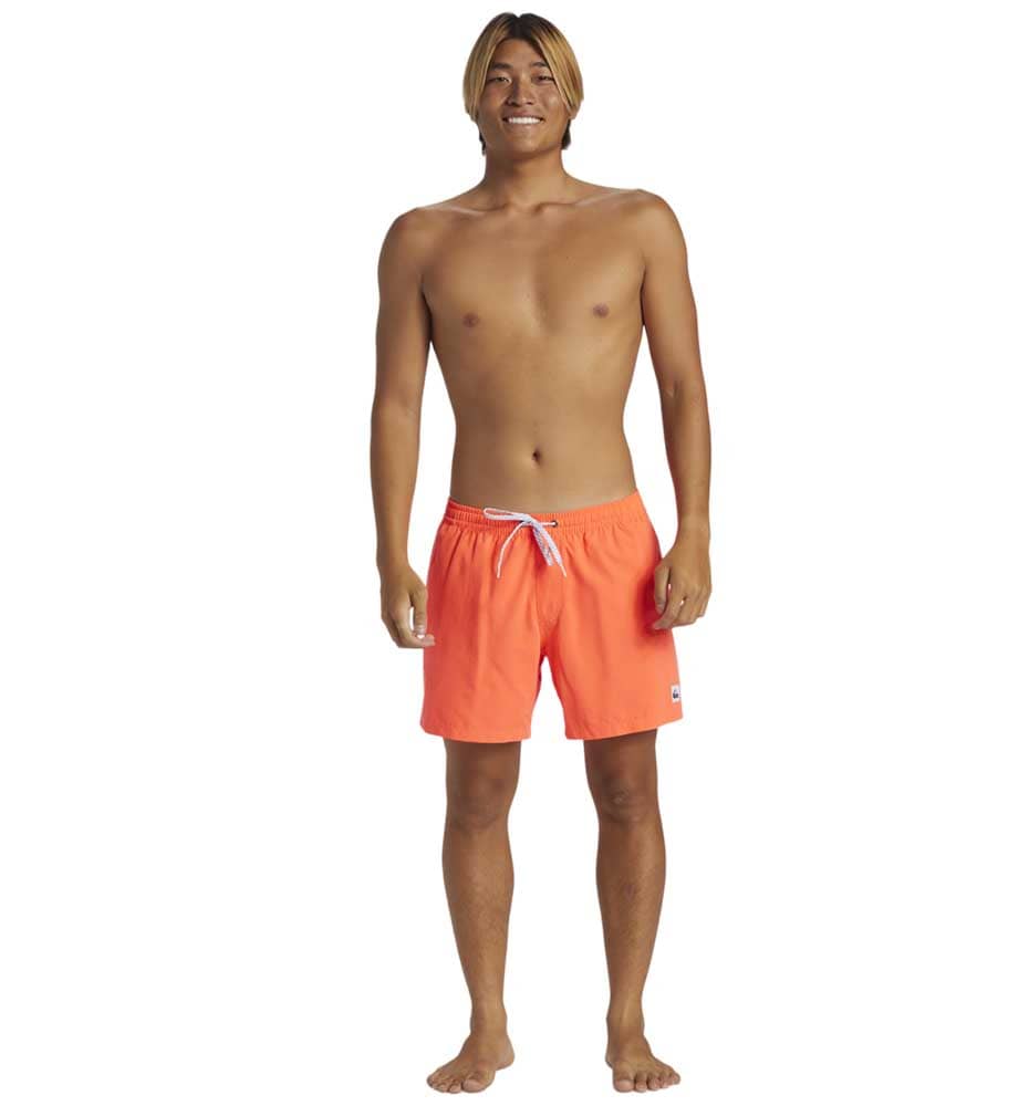 Swimsuit Men's Swimsuit QUIKSILVER Everyday Solid Volley 15